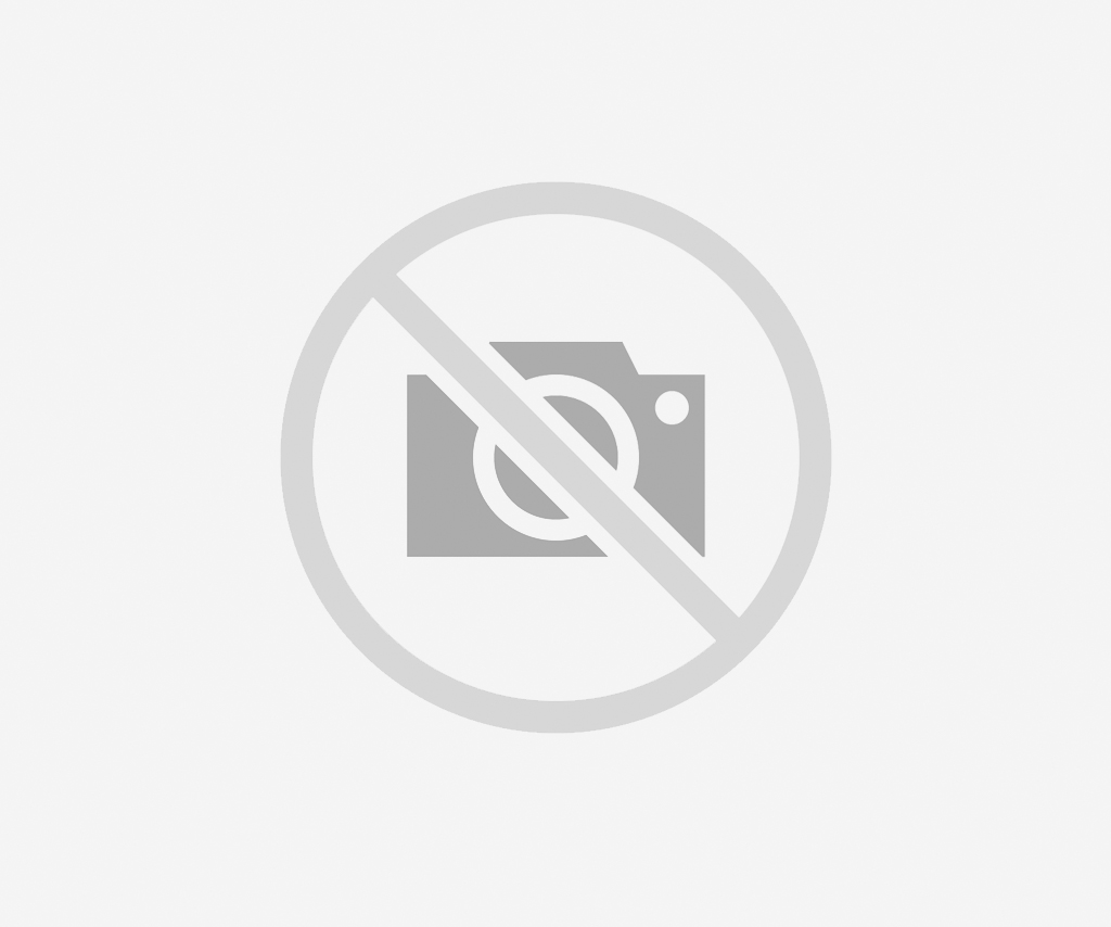 No Image for This Product